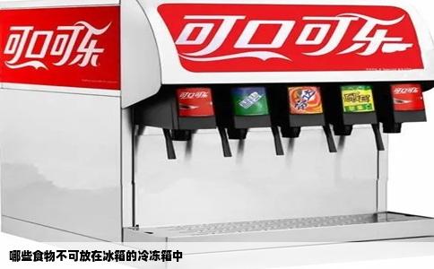 哪些食物不可放在冰箱的冷冻箱中