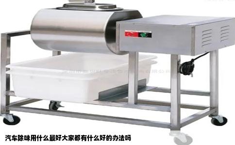 汽车除味用什么最好大家都有什么好的办法吗