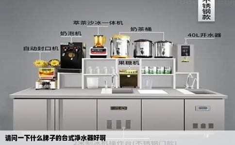 请问一下什么牌子的台式净水器好啊