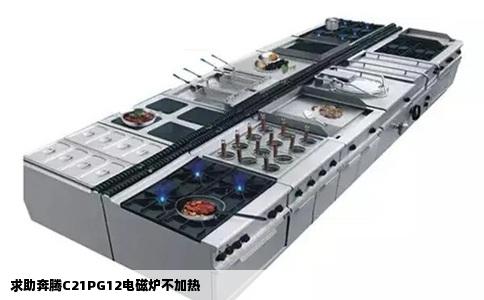 求助奔腾C21PG12电磁炉不加热