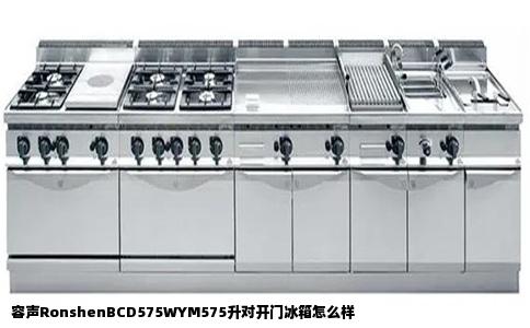 容声RonshenBCD575WYM575升对开门冰箱怎么样