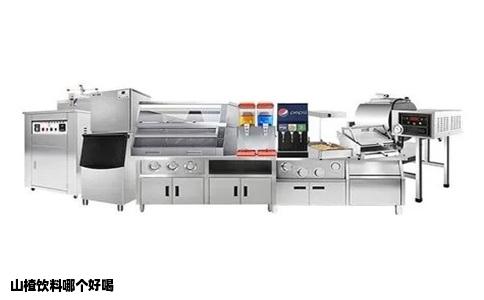 山楂饮料哪个好喝