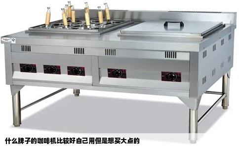 什么牌子的咖啡机比较好自己用但是想买大点的