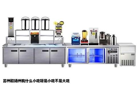 苏州和扬州有什么小吃呀是小吃不是大吃