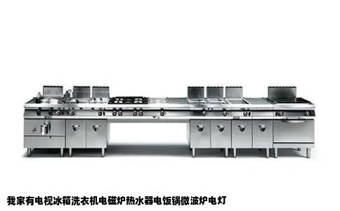 我家有电视冰箱洗衣机电磁炉热水器电饭锅微波炉电灯