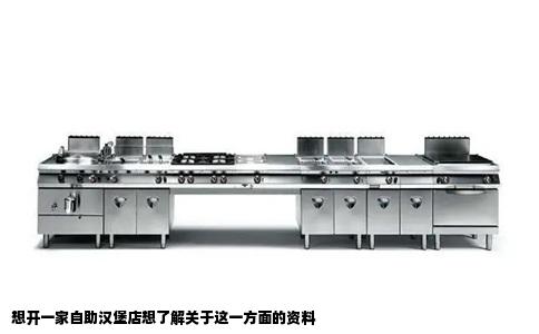 想开一家自助汉堡店想了解关于这一方面的资料