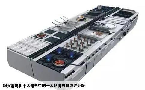 想买消毒柜十大排名中的一大品牌想知道谁更好