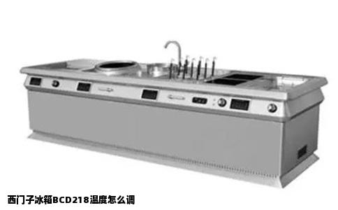 西门子冰箱BCD218温度怎么调