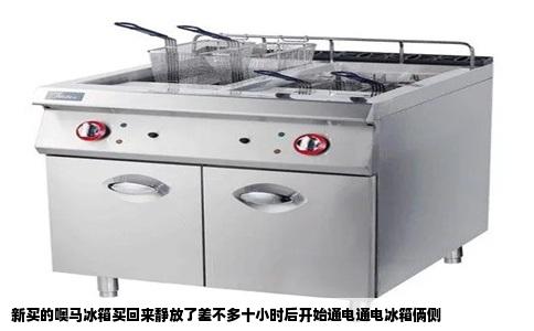 新买的噢马冰箱买回来静放了差不多十小时后开始通电通电冰箱俩侧