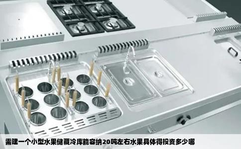 需建一个小型水果储藏冷库能容纳20吨左右水果具体得投资多少哪