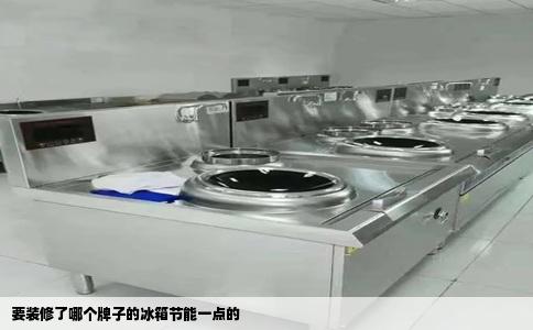 要装修了哪个牌子的冰箱节能一点的