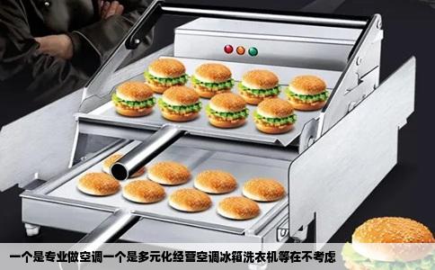 一个是专业做空调一个是多元化经营空调冰箱洗衣机等在不考虑