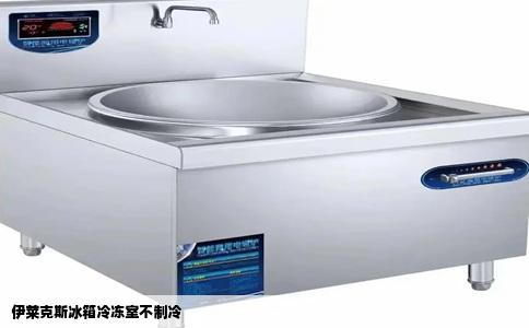 伊莱克斯冰箱冷冻室不制冷