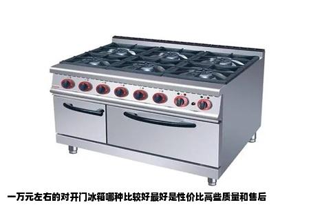 一万元左右的对开门冰箱哪种比较好最好是性价比高些质量和售后