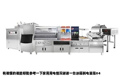 有谁懂的谁能帮我参考一下家用用电情况谢谢一台冰箱耗电量是04