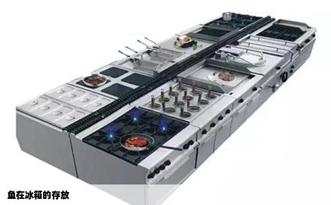 鱼在冰箱的存放