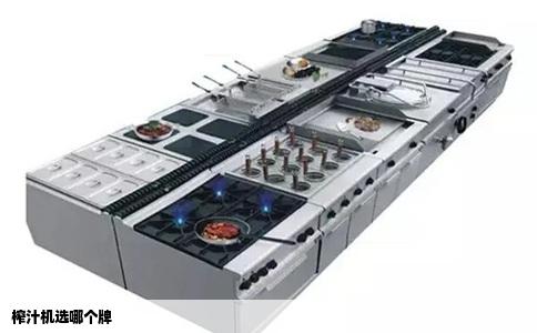 榨汁机选哪个牌