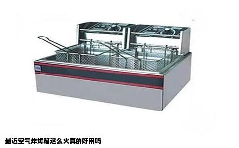 最近空气炸烤箱这么火真的好用吗